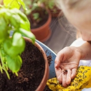 The Benefits of Teaching Children to Grow Food