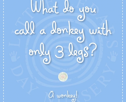 What do you call a donkey with only 3 legs? What do you call a donkey with only 3 legs?