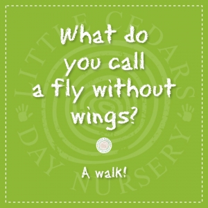 What do you call a fly without wings?