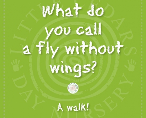 Fly-joke What do you call a fly without wings?