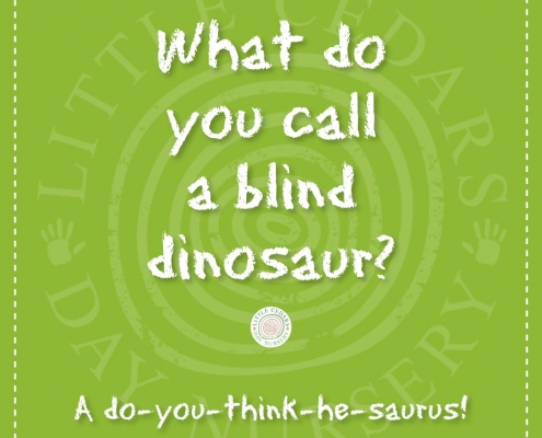 What do you call a blind dinosaur? What do you call a blind dinosaur?