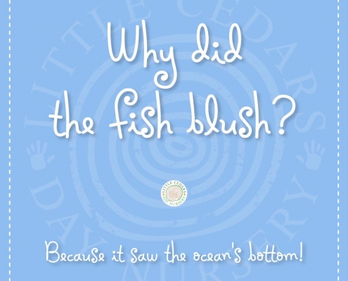 Why did the fish blush? Why did the fish blush?