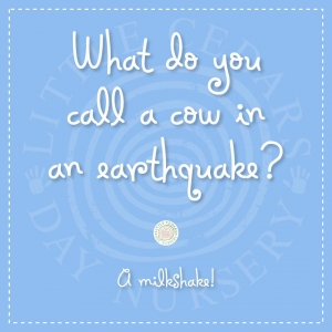 What do you call a cow in an earthquake?