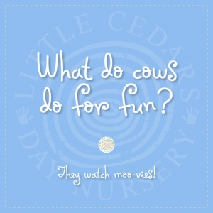 What do cows do for fun?