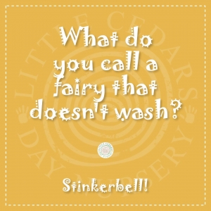 What do you call a fairy that doesn't wash?