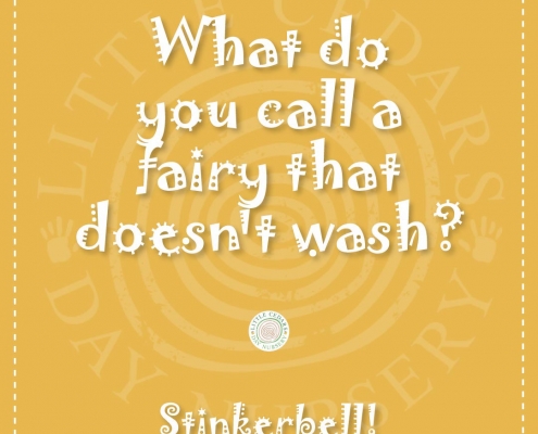 What do you call a fairy that doesn't wash? What do you call a fairy that doesn't wash?