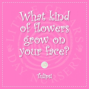 What kind of flowers grow on your face?
