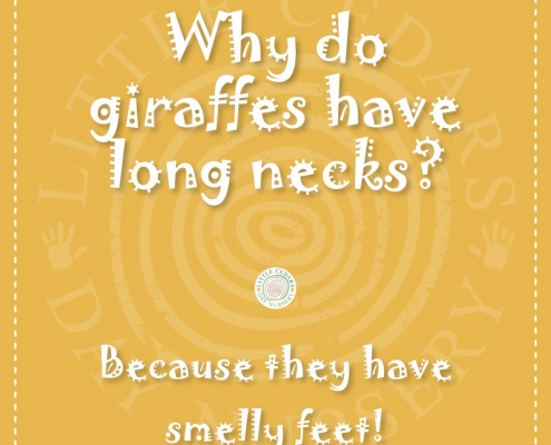 Why do giraffes have long necks? Why do giraffes have long necks?