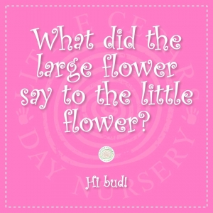 What did the large flower say to the little flower?