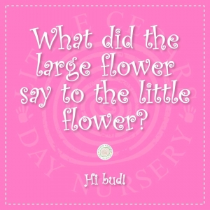 What did the large flower say to the little flower?