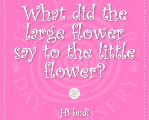 What did the large flower say to the little flower? What did the large flower say to the little flower?