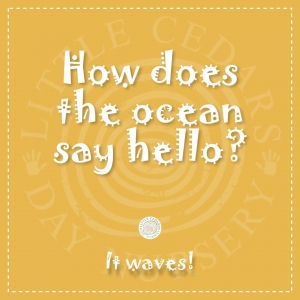 How does the ocean say hello?