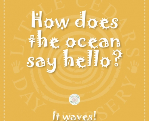 ocean-hello-joke How does the ocean say hello?