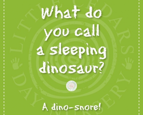 What do you call a sleeping dinosaur? What do you call a sleeping dinosaur?