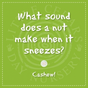 What sound does a nut make when it sneezes?