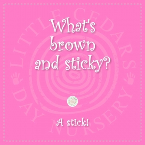 What's brown & sticky?