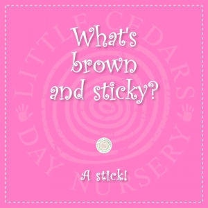 What's brown & sticky?