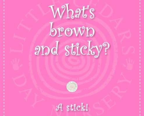 sticky-joke What's brown & sticky?