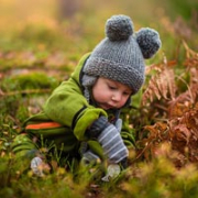 Understanding the World