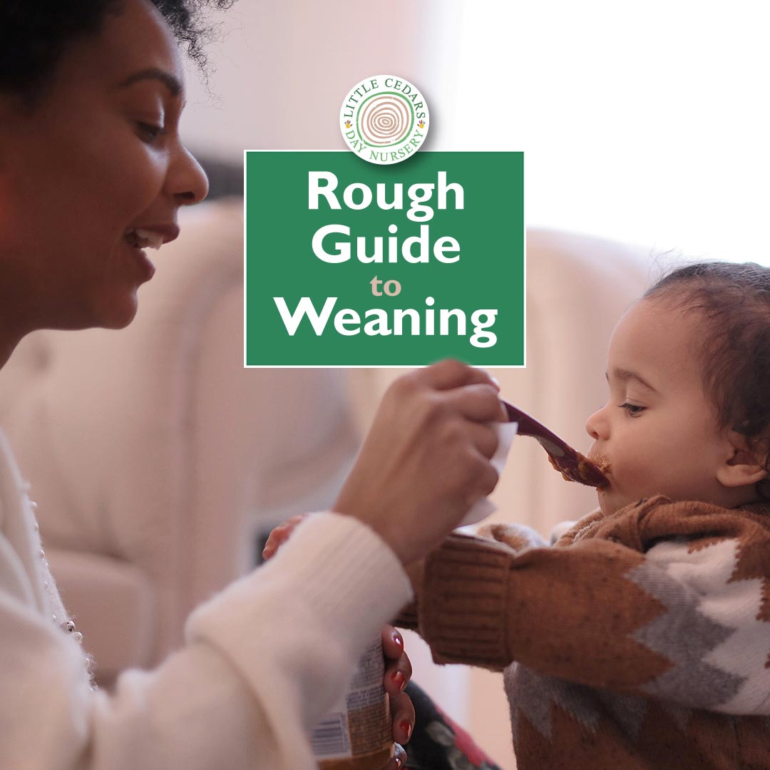 A Rough Guide to Weaning tips & advice for parents of babies/toddlers