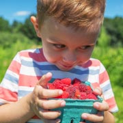 Today we look at the types of foods and nutrients that are essential for children as part of a well-balanced vegetarian diet.