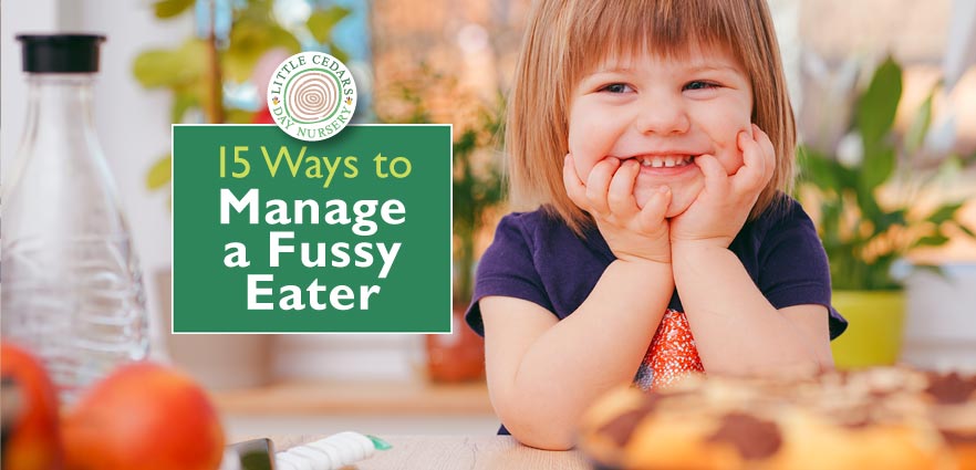 15 Ways to Manage a Fussy Eater