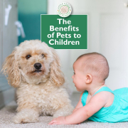 The Benefits of Pets & Regular Animal Interaction to Children