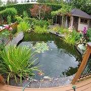 Garden ponds, swimming pools and hot tubs are particularly dangerous to young children.