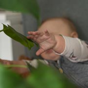 Even plants can be a hazard to young children.
