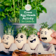 Cress ‘Egg Heads’ Activity for Under-5s