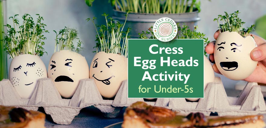 Cress ‘Egg Heads’ Activity for Under-5s