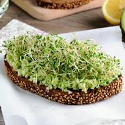 The finished cress will be tasty and extremely nutritious. Great for growing children!