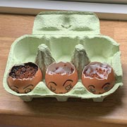 Egg shells held in place by an egg carton, with seeds sown.