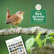 British-Birds-Identifier-IN