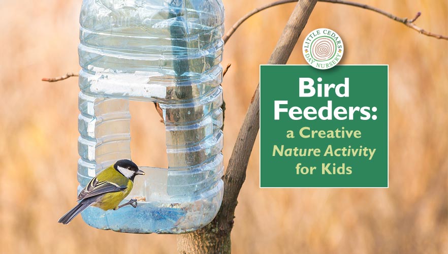 Bird Feeders: a Creative ‘Nature’ Activity for Kids