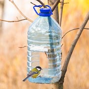 Clear plastic bottles can be used as bird feeders or for water.