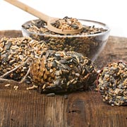 Another type of bird feeder that is both fun and easy to make is a pine cone feeder.