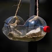 Children can get creative with how they use plastic bottles to feed birds.