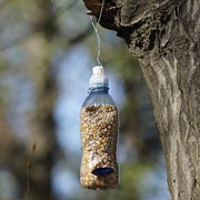 A wonderful way to encourage young children to enjoy and learn from nature is to help them make bird feeders.