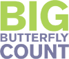The Big Butterfly Count The Big Butterfly Count