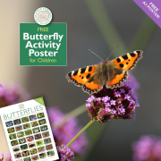 Butterfly-Activity-Poster-I