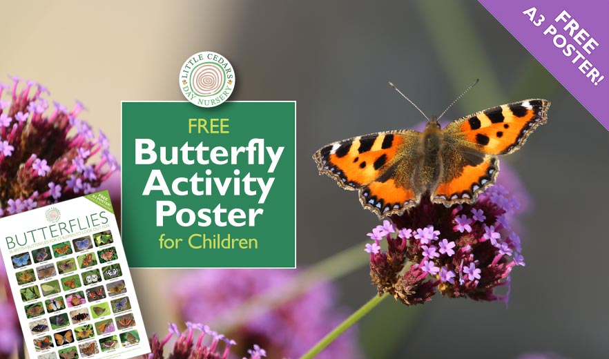 Free Butterfly-Spotting Activity Poster for Children.