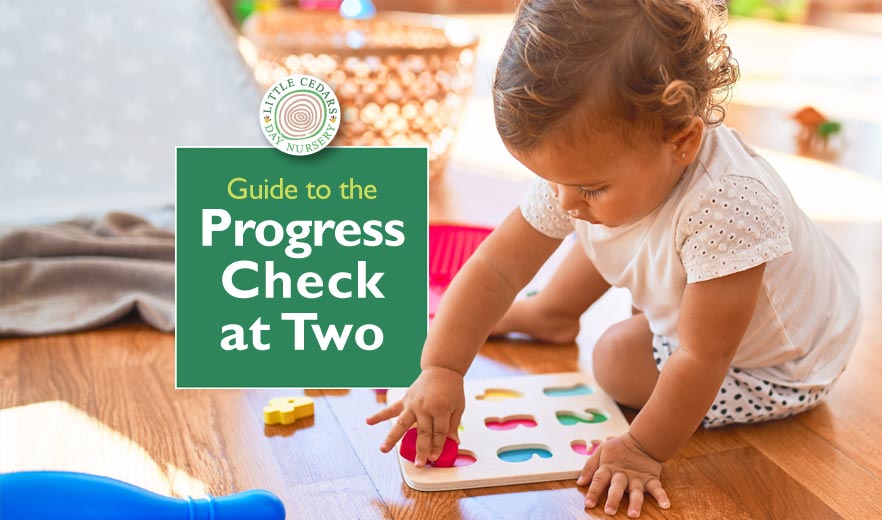 The Progress Check at 2 – it's purpose, who & what are involved, etc.