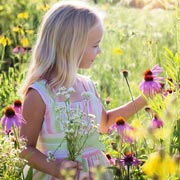 Growing wildflowers is a fun and educational activity for children, including under-fives.