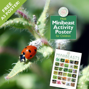 Minibeast-Spotting Nature Activity for Children – With Free Poster!