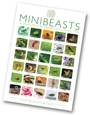 Today's minibeast-spotting activity is part of a series of nature-based children's activities that come with a free poster!