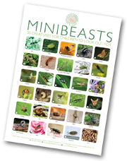 Today's minibeast-spotting activity is part of a series of nature-based children's activities that come with a free poster! Today's minibeast-spotting activity is part of a series of nature-based children's activities that come with a free poster!