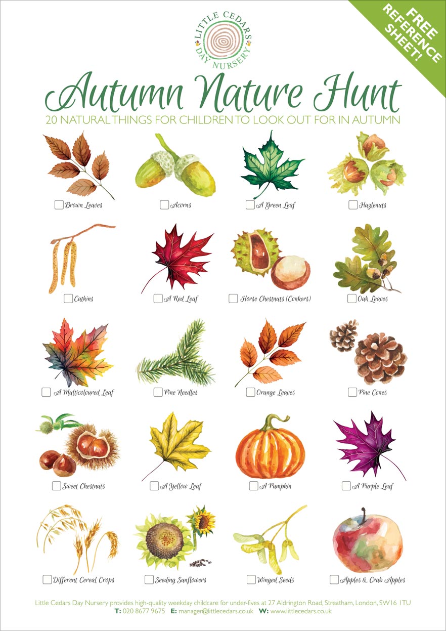 Large view of the Autumn Treasure Hunt reference sheet. Click to download and view the Acrobat PDF, then print out.