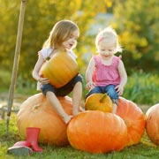 Pumpkin patches make great family photo opportunities around Halloween time.
