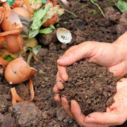 As the compost pile transforms, involve children in observing the changes.